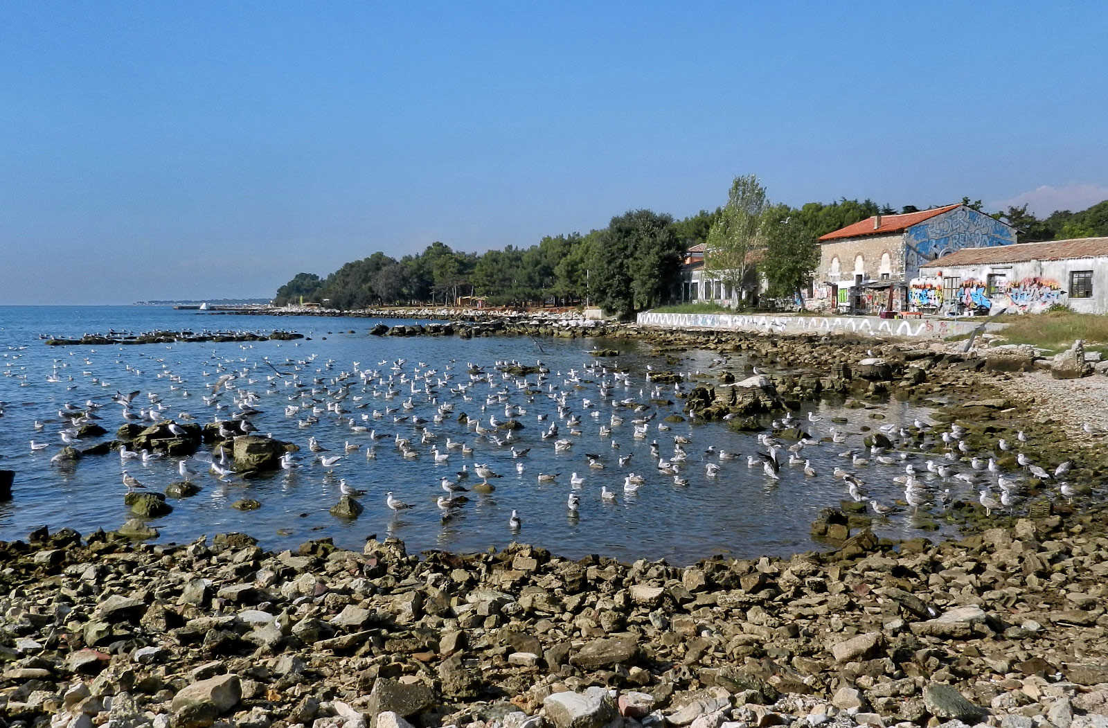 Porec